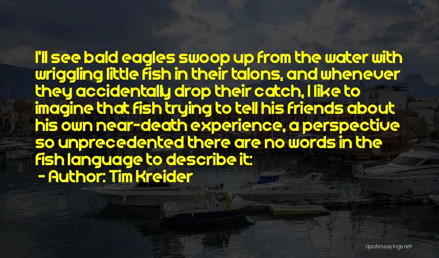 Tim Kreider Quotes: I'll See Bald Eagles Swoop Up From The Water With Wriggling Little Fish In Their Talons, And Whenever They Accidentally