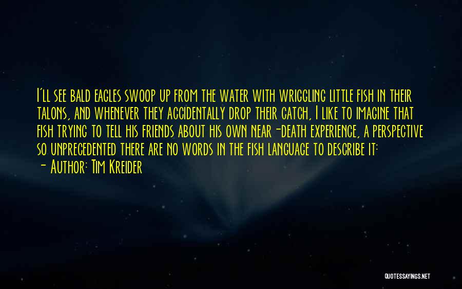 Tim Kreider Quotes: I'll See Bald Eagles Swoop Up From The Water With Wriggling Little Fish In Their Talons, And Whenever They Accidentally