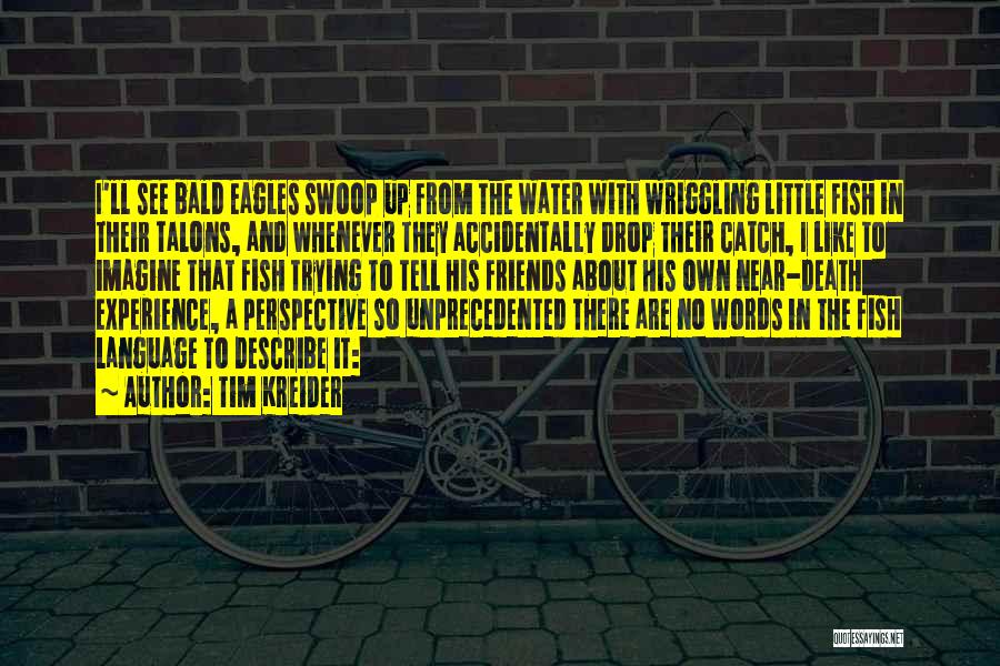 Tim Kreider Quotes: I'll See Bald Eagles Swoop Up From The Water With Wriggling Little Fish In Their Talons, And Whenever They Accidentally