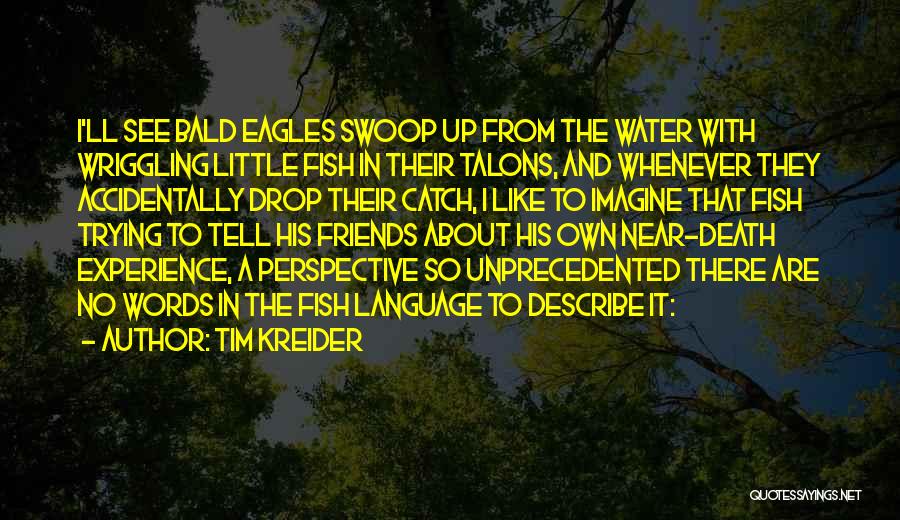 Tim Kreider Quotes: I'll See Bald Eagles Swoop Up From The Water With Wriggling Little Fish In Their Talons, And Whenever They Accidentally