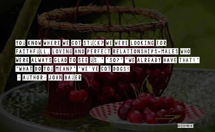 Joan Bauer Quotes: You Know Where We Got Stuck? We Were Looking For Faithfull, Loving And Perfect Relationships-males Who Were Always Glad To