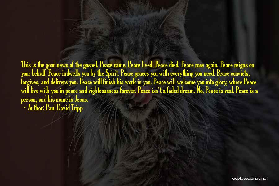 Paul David Tripp Quotes: This Is The Good News Of The Gospel. Peace Came. Peace Lived. Peace Died. Peace Rose Again. Peace Reigns On
