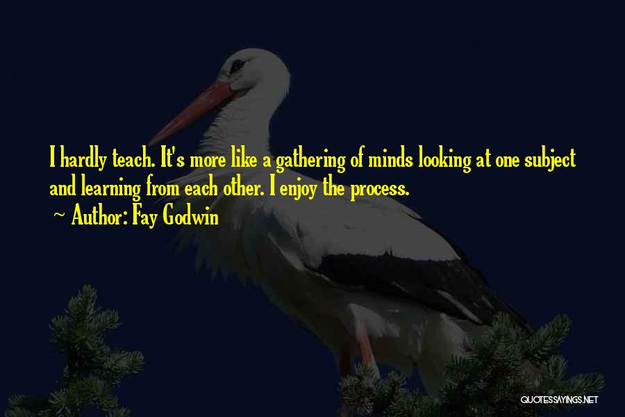 Fay Godwin Quotes: I Hardly Teach. It's More Like A Gathering Of Minds Looking At One Subject And Learning From Each Other. I