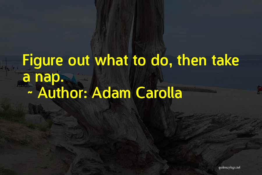 Adam Carolla Quotes: Figure Out What To Do, Then Take A Nap.