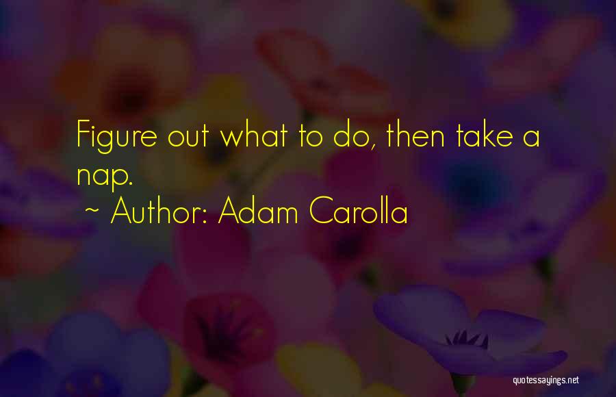 Adam Carolla Quotes: Figure Out What To Do, Then Take A Nap.