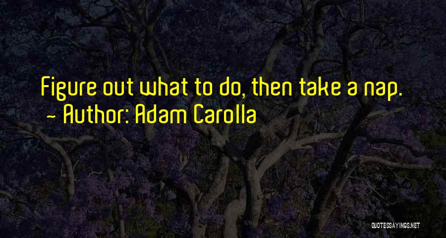 Adam Carolla Quotes: Figure Out What To Do, Then Take A Nap.