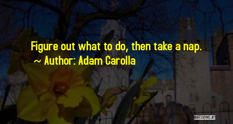 Adam Carolla Quotes: Figure Out What To Do, Then Take A Nap.