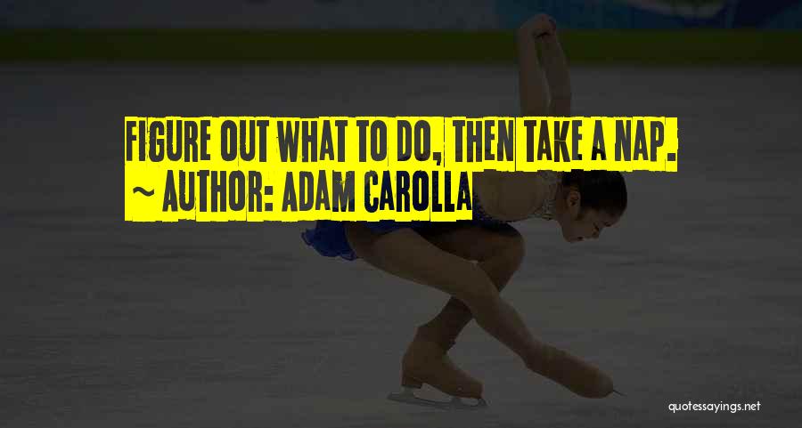 Adam Carolla Quotes: Figure Out What To Do, Then Take A Nap.