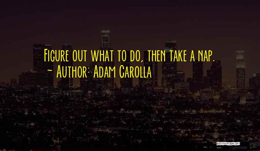 Adam Carolla Quotes: Figure Out What To Do, Then Take A Nap.