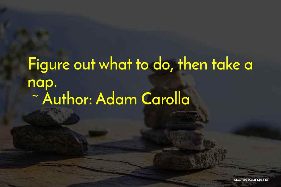 Adam Carolla Quotes: Figure Out What To Do, Then Take A Nap.