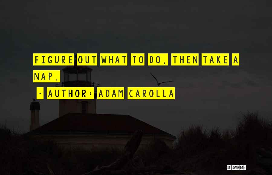 Adam Carolla Quotes: Figure Out What To Do, Then Take A Nap.