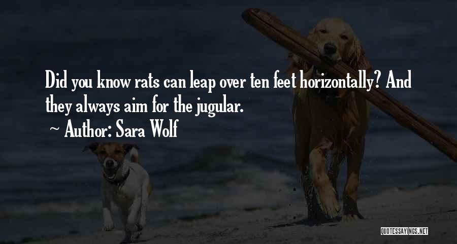 Sara Wolf Quotes: Did You Know Rats Can Leap Over Ten Feet Horizontally? And They Always Aim For The Jugular.