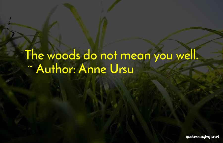 Anne Ursu Quotes: The Woods Do Not Mean You Well.
