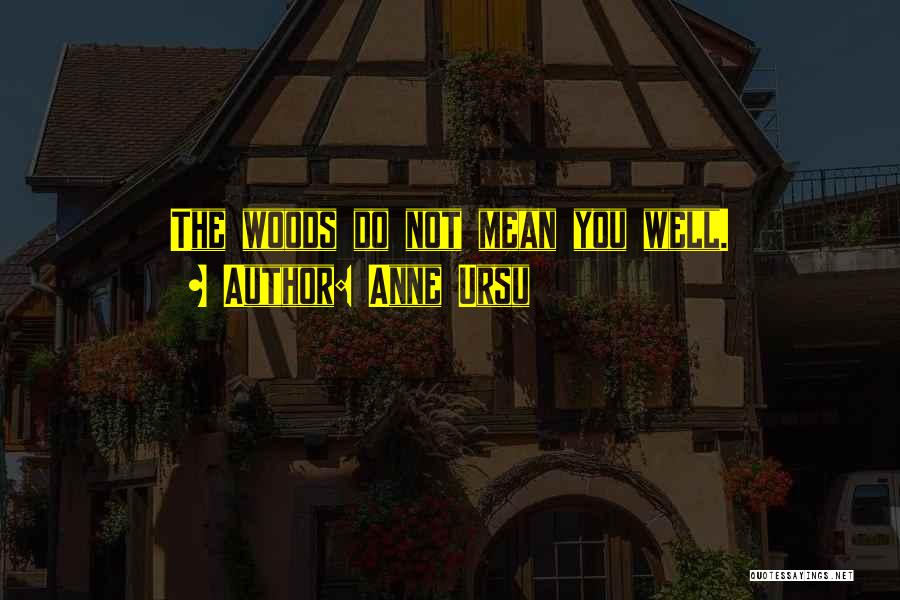 Anne Ursu Quotes: The Woods Do Not Mean You Well.