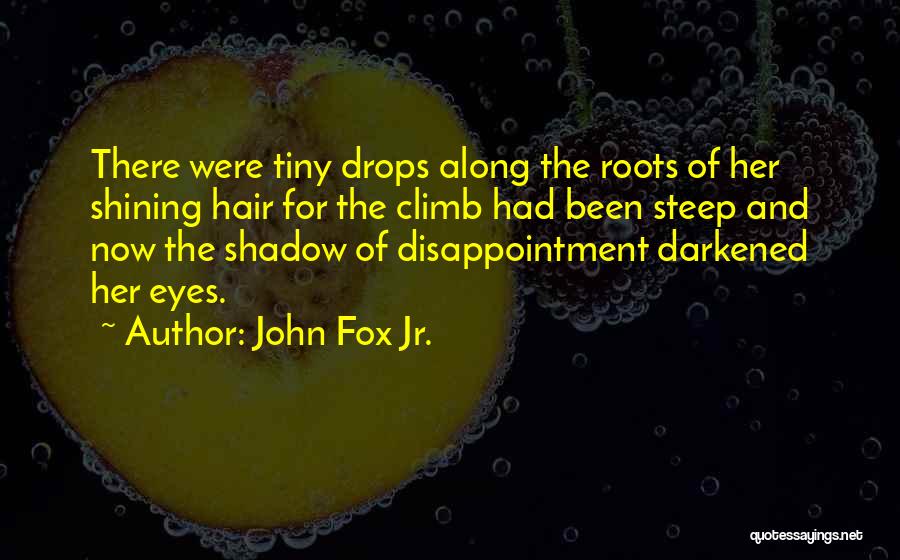 John Fox Jr. Quotes: There Were Tiny Drops Along The Roots Of Her Shining Hair For The Climb Had Been Steep And Now The