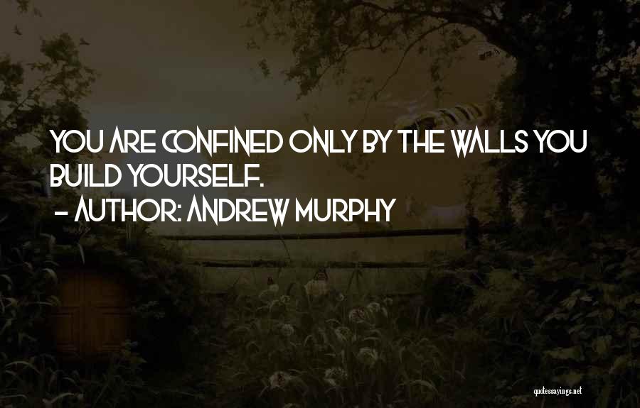 Andrew Murphy Quotes: You Are Confined Only By The Walls You Build Yourself.