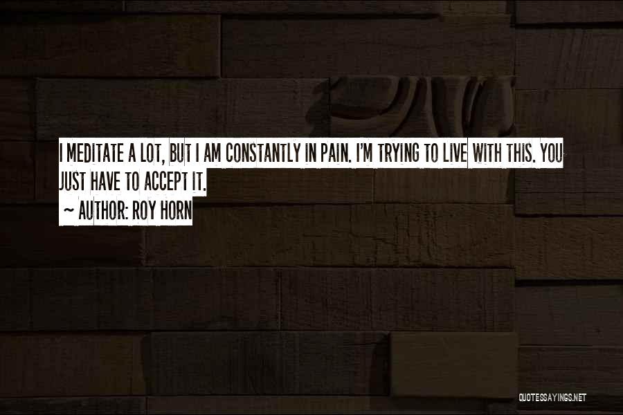 Roy Horn Quotes: I Meditate A Lot, But I Am Constantly In Pain. I'm Trying To Live With This. You Just Have To