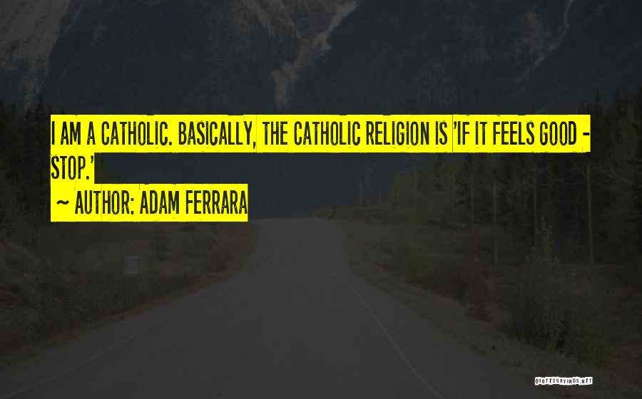 Adam Ferrara Quotes: I Am A Catholic. Basically, The Catholic Religion Is 'if It Feels Good - Stop.'