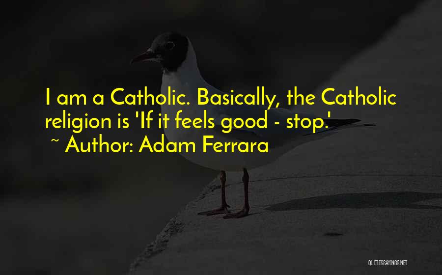 Adam Ferrara Quotes: I Am A Catholic. Basically, The Catholic Religion Is 'if It Feels Good - Stop.'