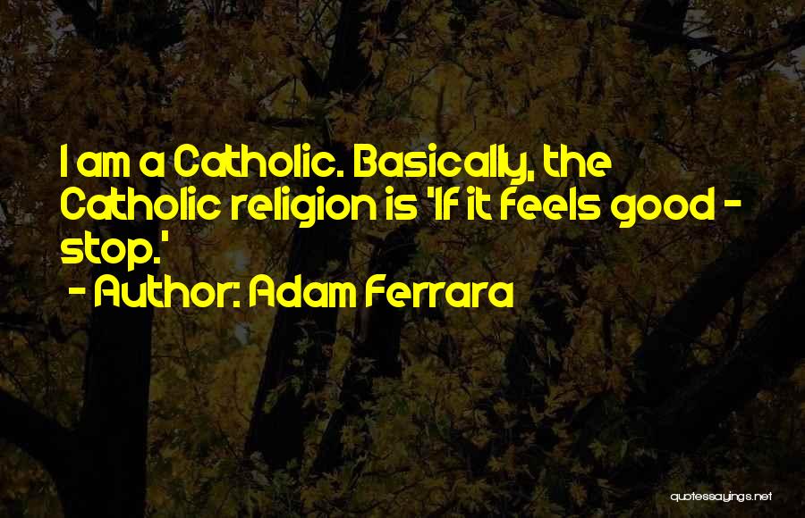 Adam Ferrara Quotes: I Am A Catholic. Basically, The Catholic Religion Is 'if It Feels Good - Stop.'