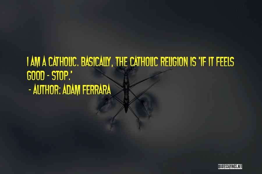 Adam Ferrara Quotes: I Am A Catholic. Basically, The Catholic Religion Is 'if It Feels Good - Stop.'