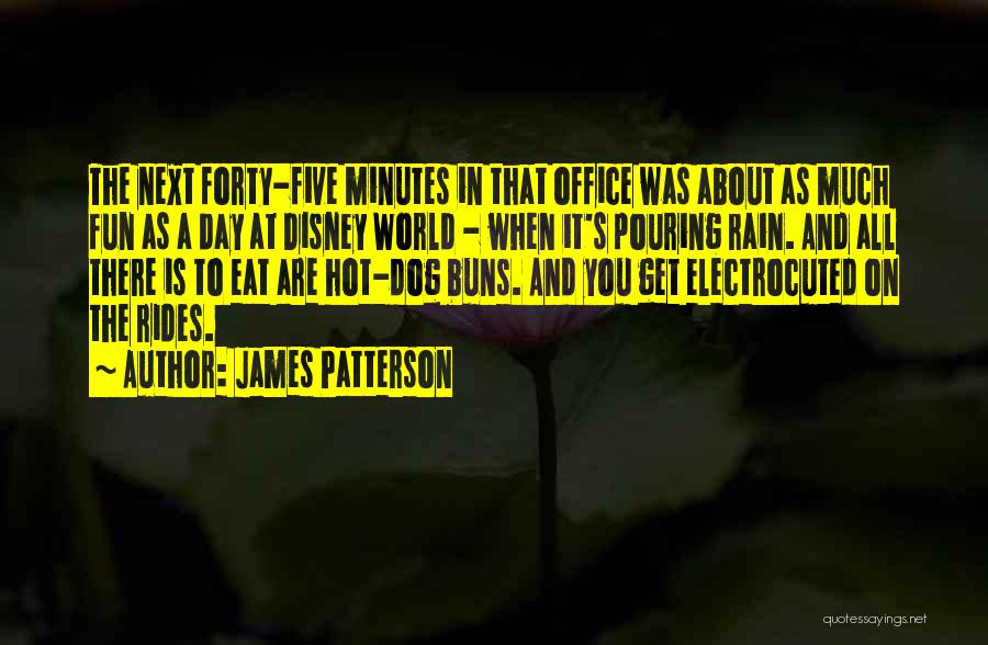 James Patterson Quotes: The Next Forty-five Minutes In That Office Was About As Much Fun As A Day At Disney World - When