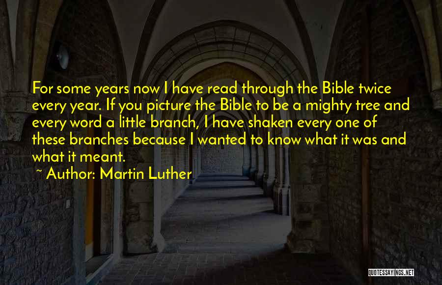 Martin Luther Quotes: For Some Years Now I Have Read Through The Bible Twice Every Year. If You Picture The Bible To Be