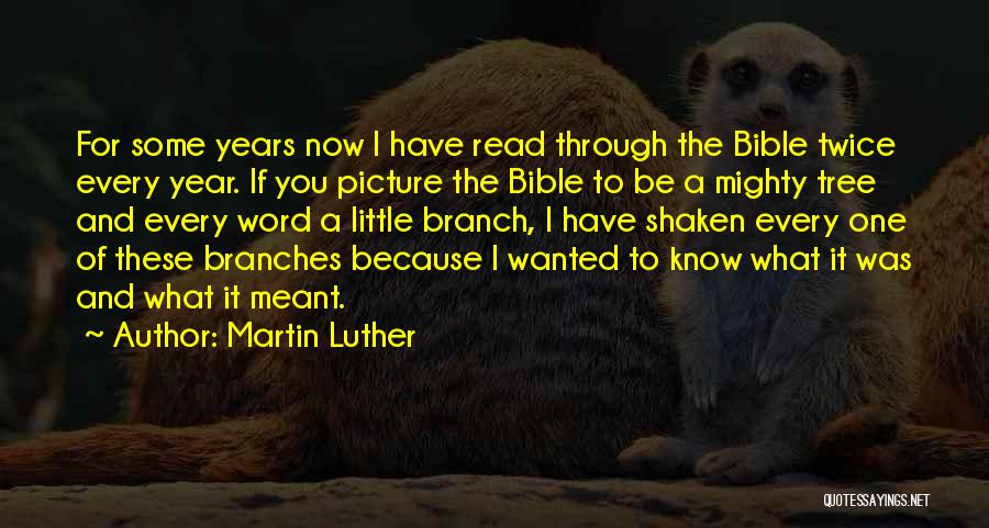Martin Luther Quotes: For Some Years Now I Have Read Through The Bible Twice Every Year. If You Picture The Bible To Be