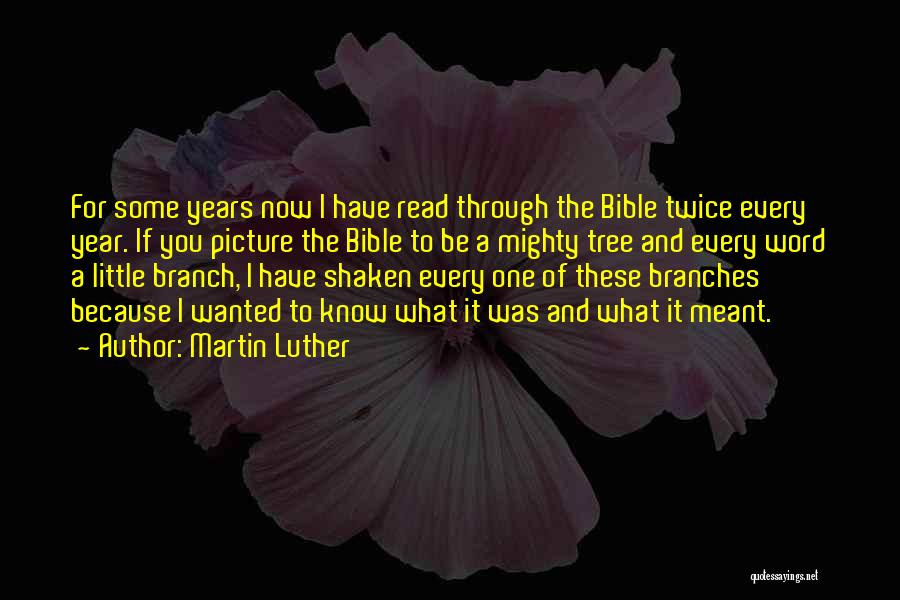 Martin Luther Quotes: For Some Years Now I Have Read Through The Bible Twice Every Year. If You Picture The Bible To Be
