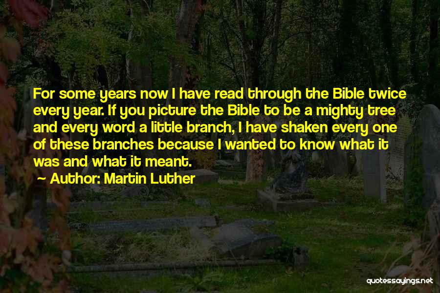 Martin Luther Quotes: For Some Years Now I Have Read Through The Bible Twice Every Year. If You Picture The Bible To Be