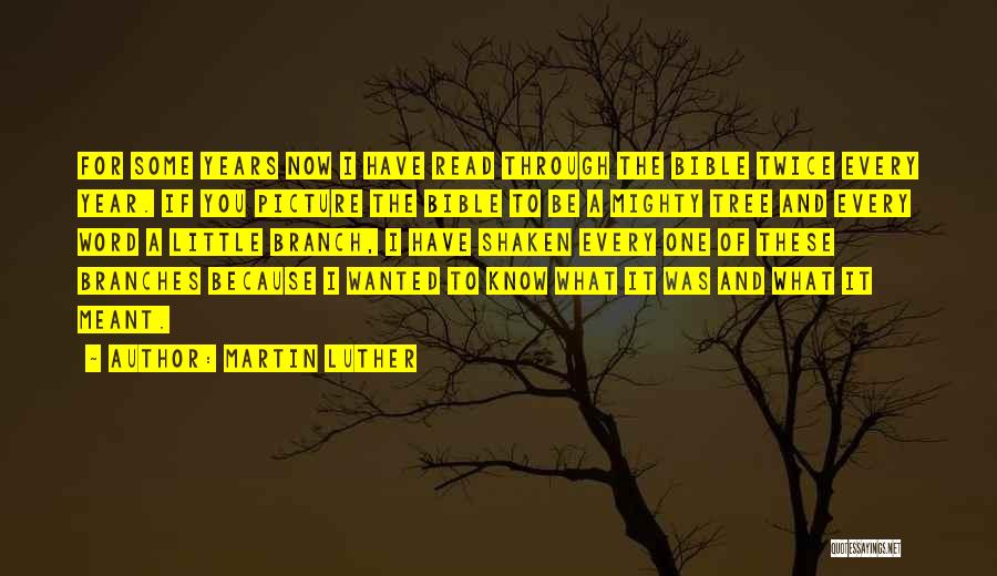 Martin Luther Quotes: For Some Years Now I Have Read Through The Bible Twice Every Year. If You Picture The Bible To Be