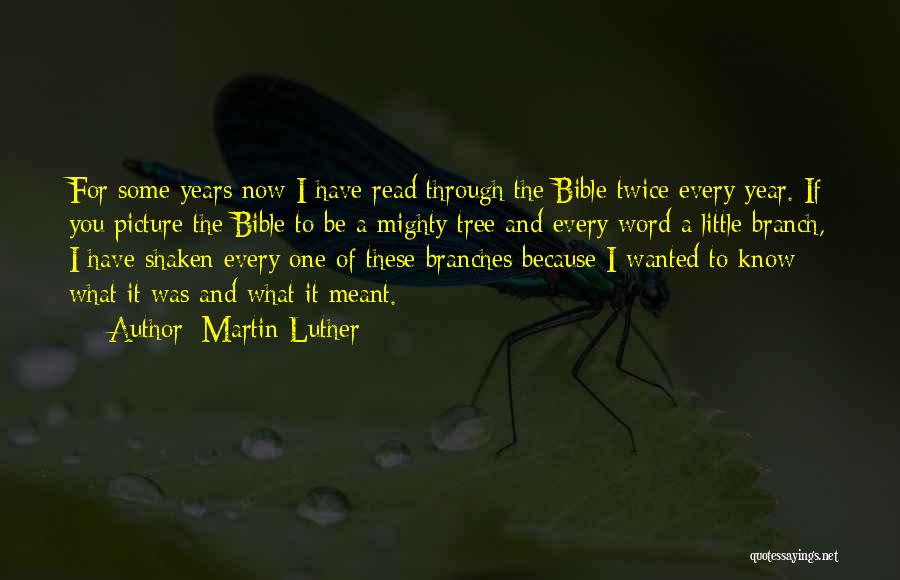 Martin Luther Quotes: For Some Years Now I Have Read Through The Bible Twice Every Year. If You Picture The Bible To Be