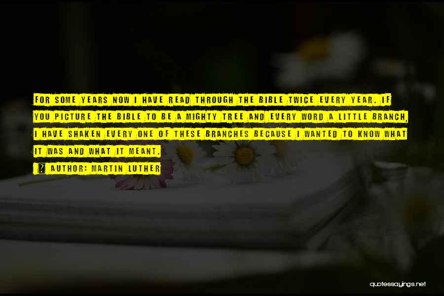 Martin Luther Quotes: For Some Years Now I Have Read Through The Bible Twice Every Year. If You Picture The Bible To Be
