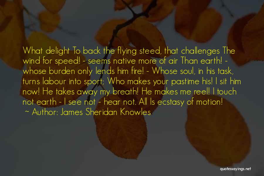 James Sheridan Knowles Quotes: What Delight To Back The Flying Steed, That Challenges The Wind For Speed! - Seems Native More Of Air Than