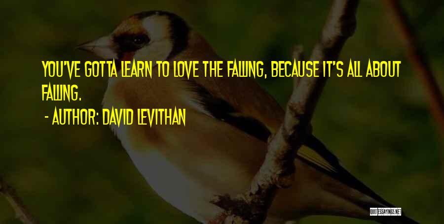 David Levithan Quotes: You've Gotta Learn To Love The Falling, Because It's All About Falling.