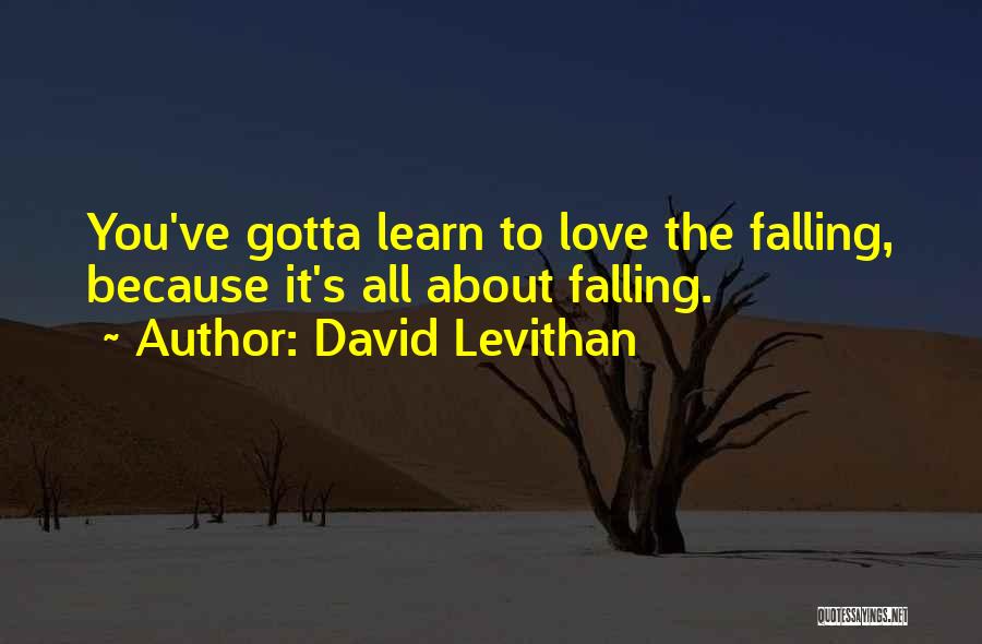 David Levithan Quotes: You've Gotta Learn To Love The Falling, Because It's All About Falling.