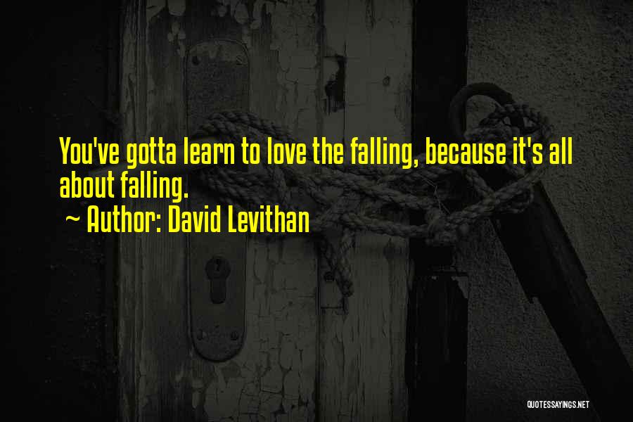 David Levithan Quotes: You've Gotta Learn To Love The Falling, Because It's All About Falling.