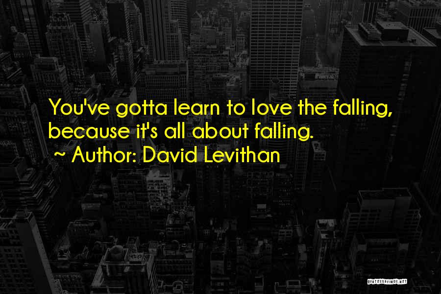David Levithan Quotes: You've Gotta Learn To Love The Falling, Because It's All About Falling.