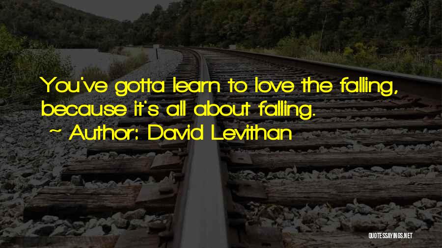 David Levithan Quotes: You've Gotta Learn To Love The Falling, Because It's All About Falling.