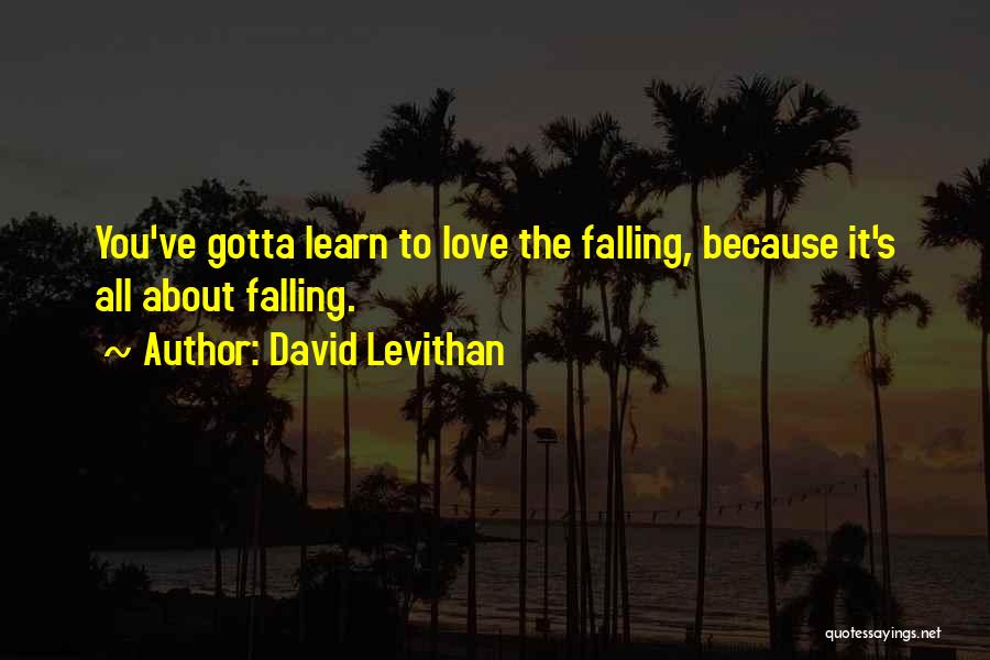 David Levithan Quotes: You've Gotta Learn To Love The Falling, Because It's All About Falling.