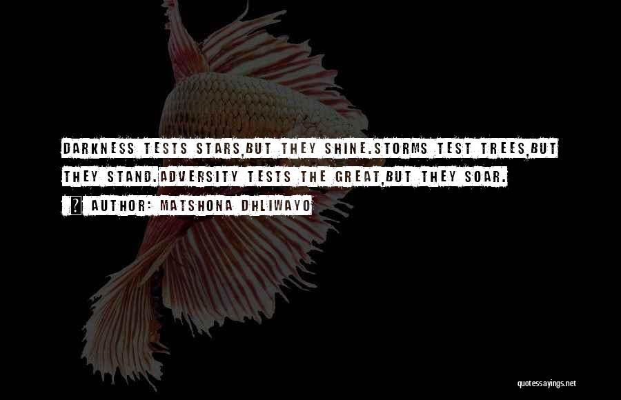 Matshona Dhliwayo Quotes: Darkness Tests Stars,but They Shine.storms Test Trees,but They Stand.adversity Tests The Great,but They Soar.