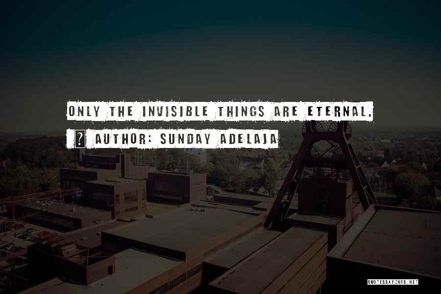 Sunday Adelaja Quotes: Only The Invisible Things Are Eternal.