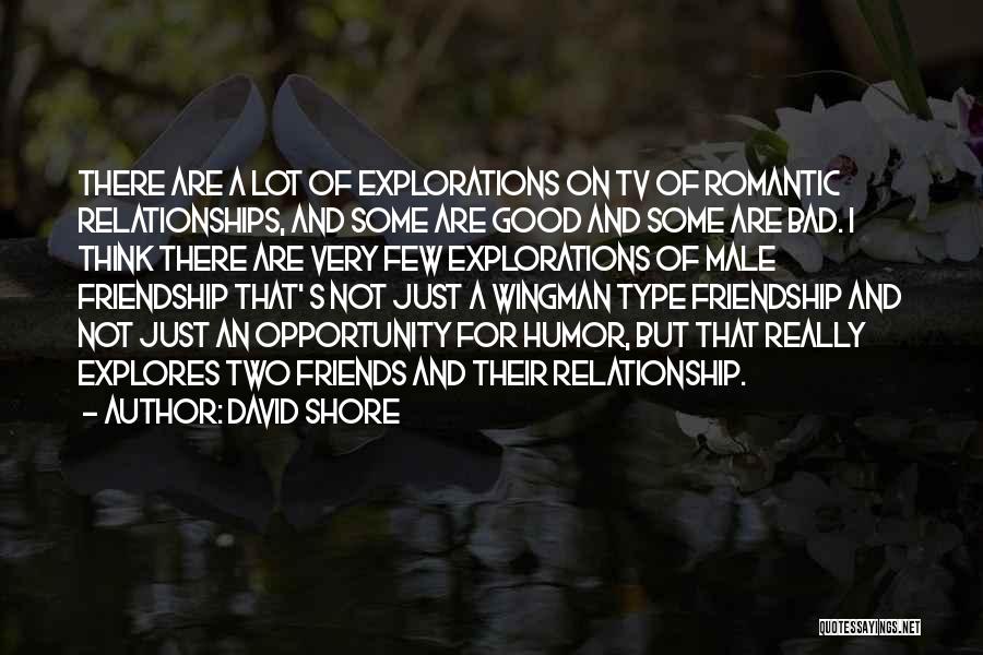 David Shore Quotes: There Are A Lot Of Explorations On Tv Of Romantic Relationships, And Some Are Good And Some Are Bad. I