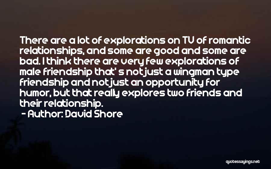 David Shore Quotes: There Are A Lot Of Explorations On Tv Of Romantic Relationships, And Some Are Good And Some Are Bad. I