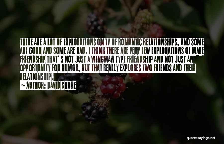 David Shore Quotes: There Are A Lot Of Explorations On Tv Of Romantic Relationships, And Some Are Good And Some Are Bad. I