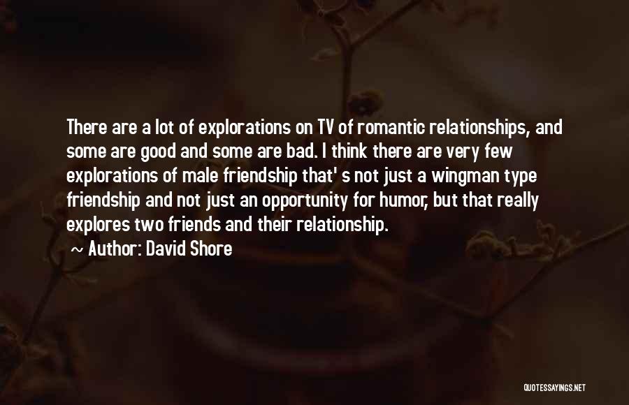 David Shore Quotes: There Are A Lot Of Explorations On Tv Of Romantic Relationships, And Some Are Good And Some Are Bad. I