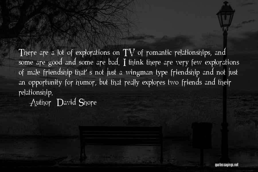 David Shore Quotes: There Are A Lot Of Explorations On Tv Of Romantic Relationships, And Some Are Good And Some Are Bad. I