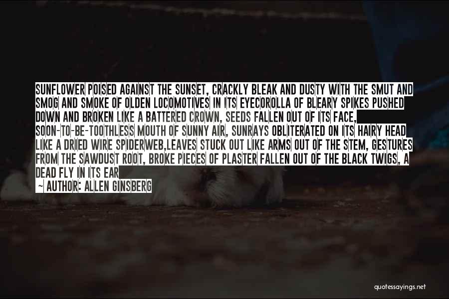 Allen Ginsberg Quotes: Sunflower Poised Against The Sunset, Crackly Bleak And Dusty With The Smut And Smog And Smoke Of Olden Locomotives In