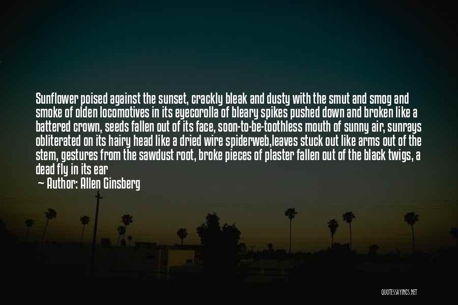 Allen Ginsberg Quotes: Sunflower Poised Against The Sunset, Crackly Bleak And Dusty With The Smut And Smog And Smoke Of Olden Locomotives In