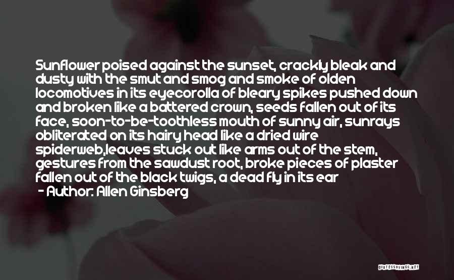 Allen Ginsberg Quotes: Sunflower Poised Against The Sunset, Crackly Bleak And Dusty With The Smut And Smog And Smoke Of Olden Locomotives In